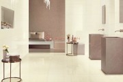 Gạch Ốp Lát APODIO 48817